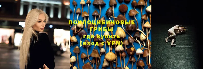 наркота  Анапа  Галлюциногенные грибы Magic Shrooms 